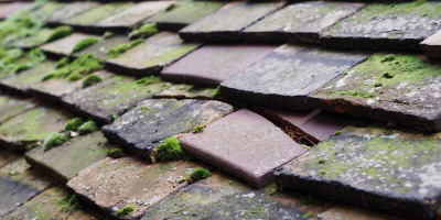 Hallen roof repair costs